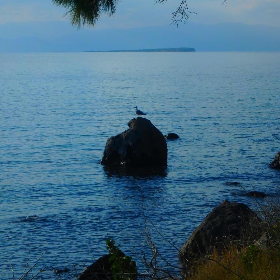 Villa Rodanthos Perdika  Dış mekan fotoğraf