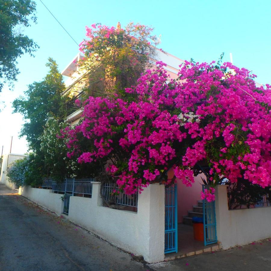 Villa Rodanthos Perdika  Dış mekan fotoğraf